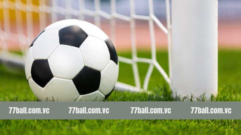 Bật mí chiến thuật cá cược trong tài xỉu 77Ball 